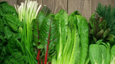 Sprinkle Green Goodness: Elevate Your Year-Round Health with These 10 Leafy Greens