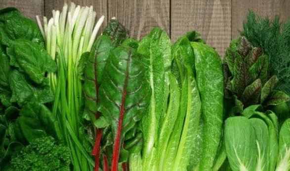 Sprinkle Green Goodness: Elevate Your Year-Round Health with These 10 Leafy Greens