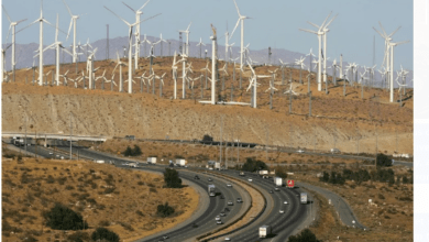 As state budgets face severe cuts, Electric Vehicles (EVs), solar projects, and wind initiatives find themselves marginalized.