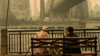 Medical Schools Embrace Curriculum Adjustments Amid Escalating Climate Threats