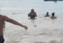 Coney Island Polar Bear Club’s Annual Plunge Marks the Start of 2024