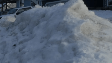 The Silent Absorption: How Snow Acts as a Natural Adsorbent for Pollutants”