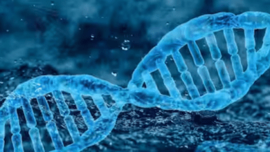 New Data Reveals Rising Global Physical Inactivity and Associated Health Risks